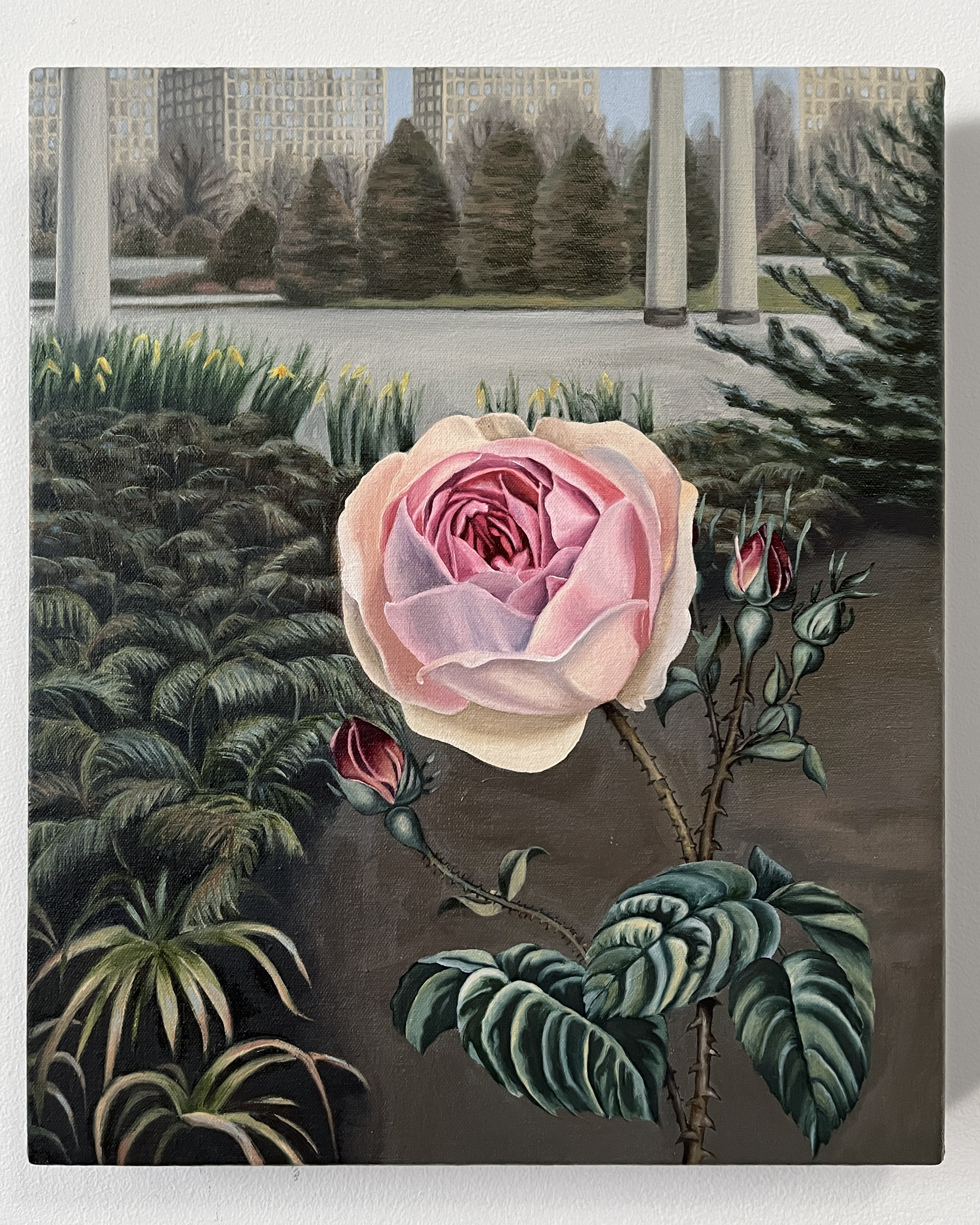 Early Bloom in Brookyln (Commission), 14x12” 2023 <br>oil on canvas<br><br>
